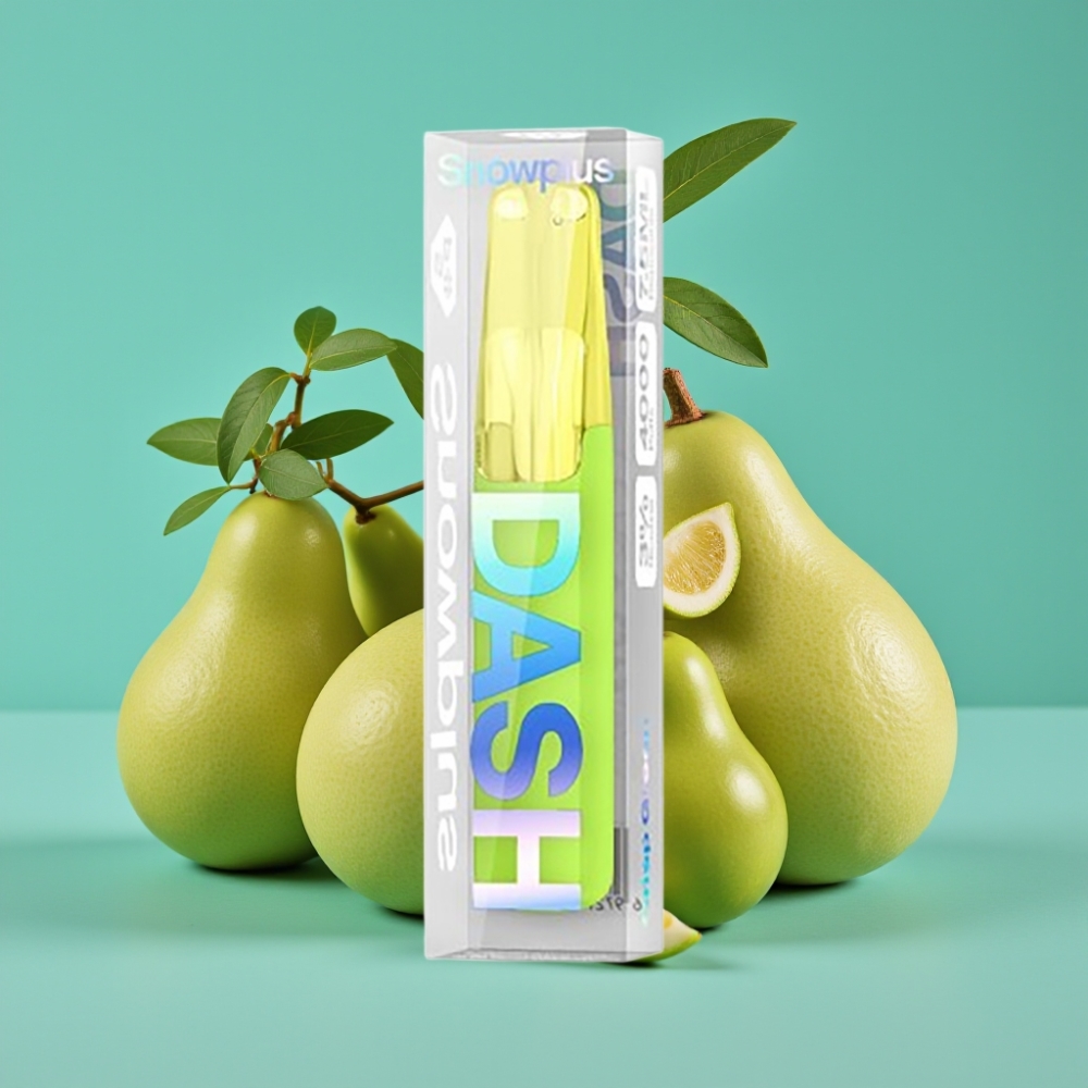 Snowplus Dash 4000 نفخة جهاز للتخلص منه - خزف، 530 مللي أمبير، 7.5 مل، أخضر منعش